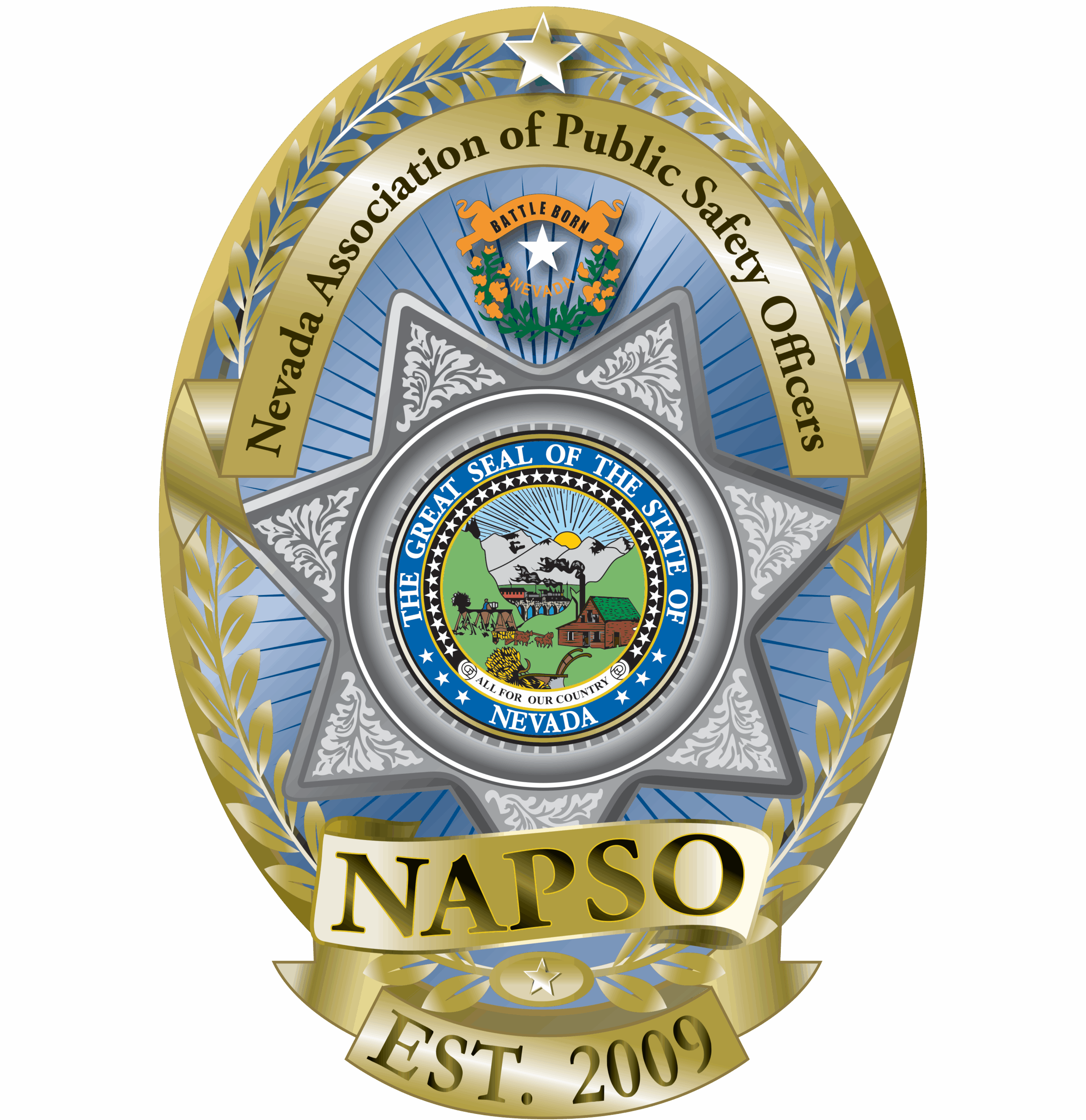 NAPSO logo